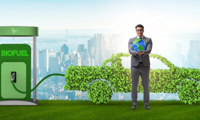 Мільярдний потенціал біоетанолу: можливості для аграріїв та енергетики